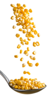 Falling Golden Corn Kernels from Spoon on Transparent Background png