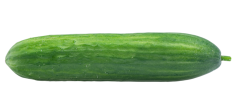 One smooth cucumber isolate Vegetable, cucumber. png