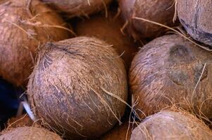 Freshly harvested coconuts displayed at a vibrant market in the tropics during a sunny afternoon photo