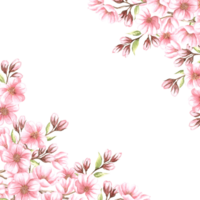 Almond pink flowers with leaves and bud watercolor square frame isolated. Floral template with copy space from spring sakura, cherry blossom. Illustration of spring blooming fruit in sketch style. png