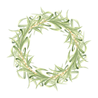 Sugar cane stalks with leaves watercolor wreath isolated. Round frame from stems and green foliage. Hand drawn illustration of bamboo shoots. Template with copy space for food design. png