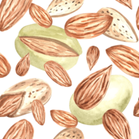 Almond nuts kernels with skin and shell watercolor seamless pattern. Hand drawn illustration from natural organic food. Spice for cooking and bakery. Crunchy snacks background template for food design png