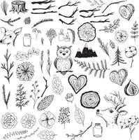 A set of hand drawn elements for a design vector