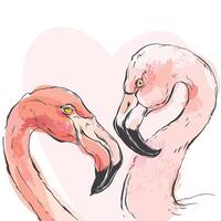 Two flamingos are facing each other in front of a heart vector