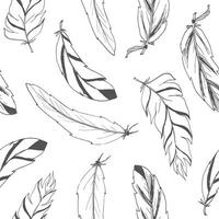 Seamless pattern of feathers on white background vector
