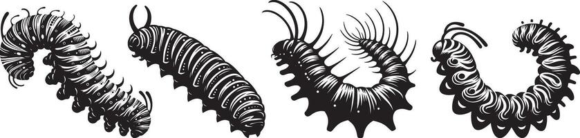A set of three different types of worms vector