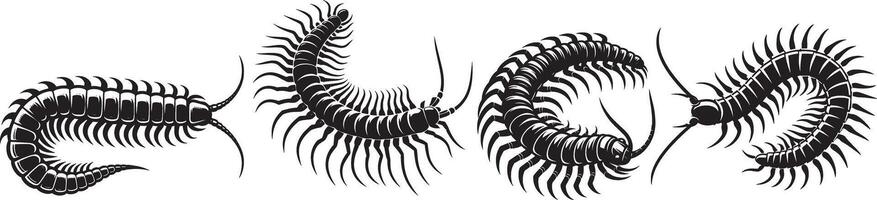 Highly Detailed Black and White Centipede Illustrations Showcasing Segmented Bodies, Numerous Legs, and Unique Anatomical Structures vector