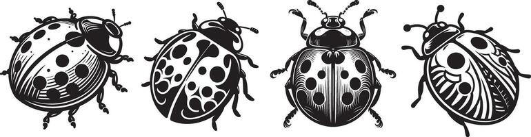 Four ladybugs in different positions vector