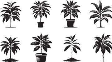 Various types of plants in pots on a white background vector