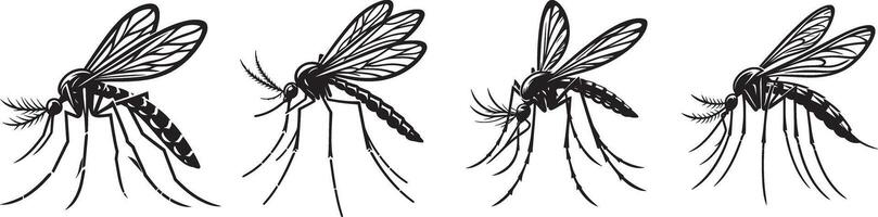 Four different types of mosquito with long legs vector