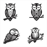 Four owls sitting on branches, with different designs vector