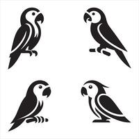 Four different parrots on a branch vector