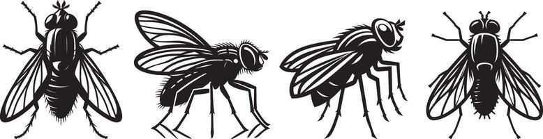 Four different types of flies on a white background vector