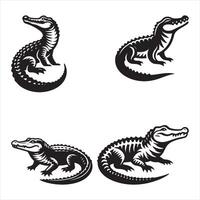 Four alligators in different poses on a white background vector