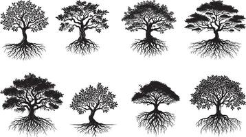 Intricate Black and White Tree Illustrations Showcasing Diverse Foliage, Branching Patterns, and Root Structures for Art and Botany vector