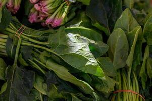 Freshly harvested greens displayed vibrantly at a local farmers market during a sunlit afternoon in early spring photo