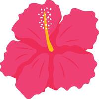 Pink Hibiscus Flower Illustration. vector