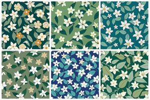 A set of six floral patterns with cherry blossom vector