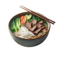 Artistic Bowl of Asian Noodle Soup with Meat and Vegetables png