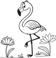 Flamingo coloring pages vector