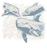 Illustration of dolphins in close-up. vector