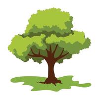 Tall Tree with Sparse Leafy Branches vector