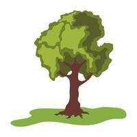 Lush Tree with Wide Branches Spreading vector