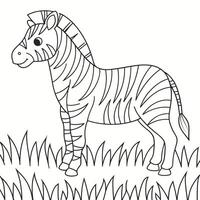 Adorable black and white line art drawing of a zebra standing in a grassy field. vector