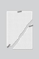 collection of picture frames with sticky tape and a blank space. Retro photo frames with shadow isolated vector
