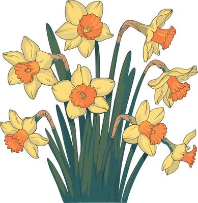 Spring Botanical Wreaths a collection of different flowers