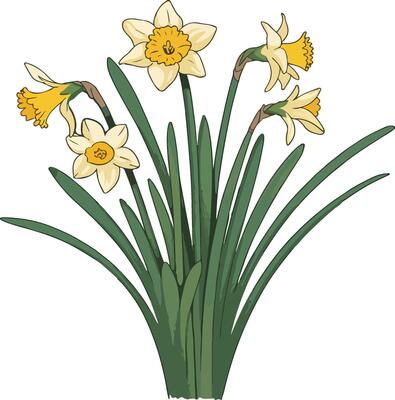 Flat Style Floral Bundle Modern Floral Frame Kit