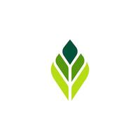leaf simple elegant logo, green icon minimalist, dynamic vector