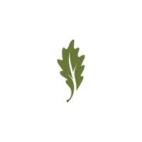 elegant oak leaf logo, illustration leave template icon vector