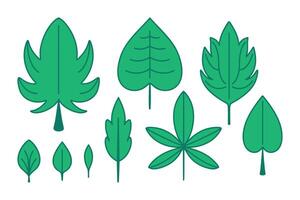 Green summer tree Foliage. Set of isolated different types of Leaves. Botanical elements Nature. Ecological decor. Vegetation, plant. Symmetrical icons. Flat design with outline. illustration vector