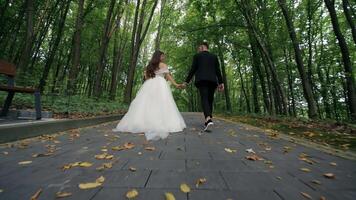 Bride and groom walking hand in hand on forest path with fallen leaves and tall trees, Romantic wedding moment in nature captured from low angle with soft natural ambiance video