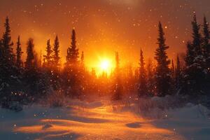 Winter Forest at Sunset with Sparkling Snow and Pine Trees photo