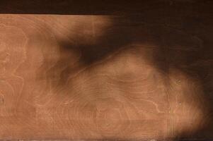 Natural light creates shadows on a textured wooden surface, evoking a sense of tranquility and artistic wonder in a serene setting photo