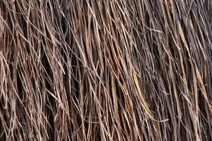 Detailed patterns of dry straw in sunlight creating a warm and rustic texture at a rural location photo