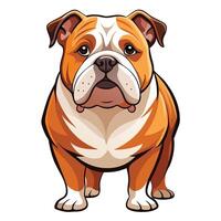 Isolated English Bulldog on a Pristine White Background vector