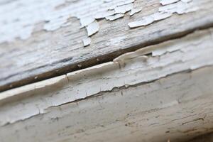 Weathered wood reveals intricate textures and stories from years of exposure to the elements photo