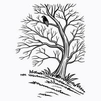 Old Tree without Leaf. vector