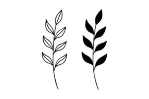 Leaf Twig Outline and Solid vector