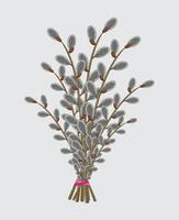 Bouquet of willow branches, design element and traditional symbol of the spring religious holiday of Easter vector