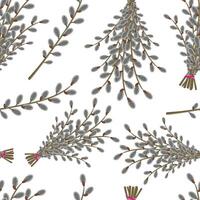 Willow branch hand drawn seamless pattern, illustration isolated on white background. vector