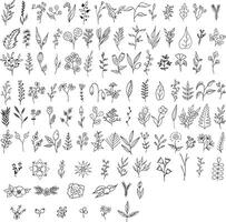 a set of hand drawn flowers and leaves vector