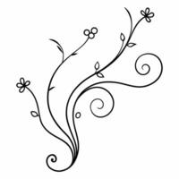 spring flourish scroll ornament design vector