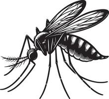 Mosquito Sketch Illustration. vector