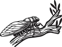 Cicada on Branch Sketch Illustration. vector