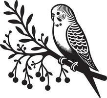 Budgie Pet Standing on Branch. vector