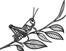 Grasshopper On Leaves Illustration. vector
